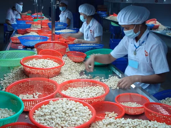 Vietnam-Canada : nette croissance du commerce bilatéral en neuf mois ảnh 1
