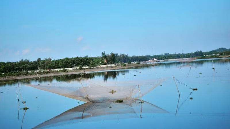 Le Vietnam prend de nombreuses mesures en réponse au changement climatique ảnh 1