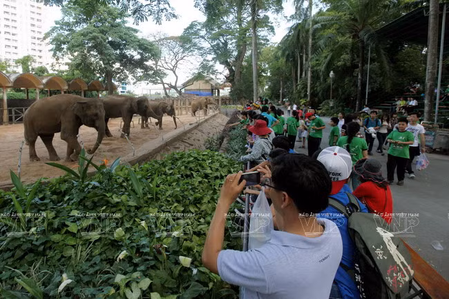 Le jardin zoologique et botanique de Saigon fête ses 150 ans ảnh 1