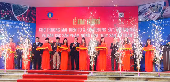 Inauguration d’un site de vente en ligne de produits agricoles ảnh 1