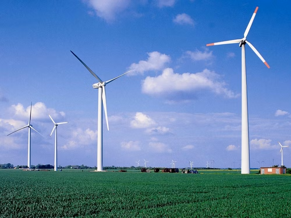 La province de Trà Vinh promeut l’énergie éolienne ảnh 1 La province de Trà Vinh promeut l’énergie éolienne ảnh 1
