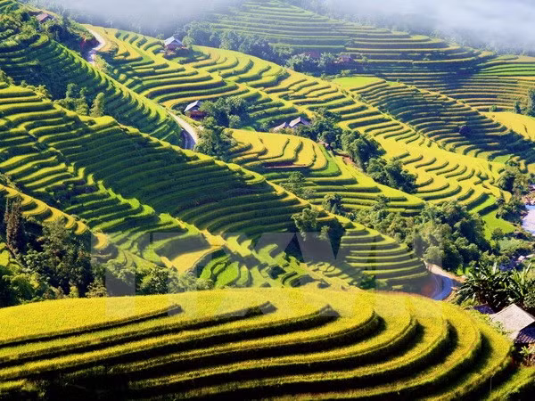 Colloque sur l’Année nationale du tourisme 2017 au Nord-Ouest - Lao Cai ảnh 2 Colloque sur l’Année nationale du tourisme 2017 au Nord-Ouest - Lao Cai ảnh 2