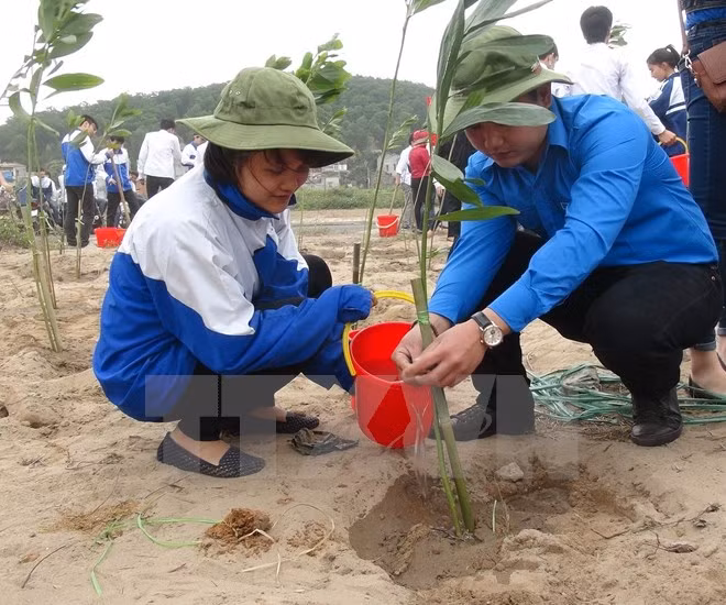 Le Vietnam a participé activement à la COP21 ảnh 1 Le Vietnam a participé activement à la COP21 ảnh 1