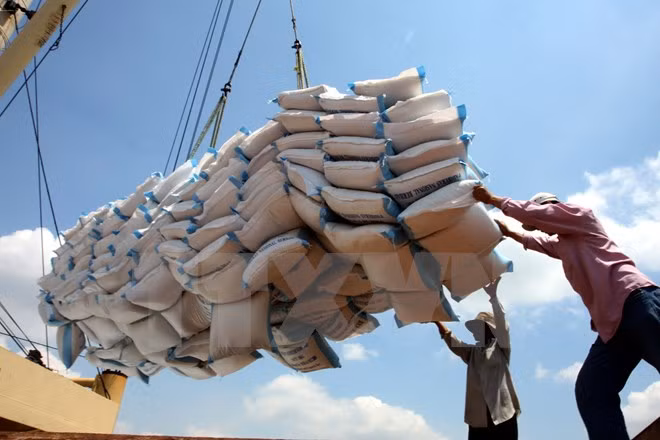 L’Indonésie veut importer un million de tonnes de riz vietnamien ảnh 1
