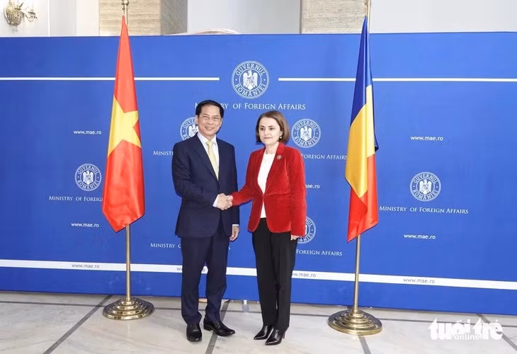  Le Vietnam renforce ses relations diplomatiques avec la Roumanie et la Hongrie ảnh 1