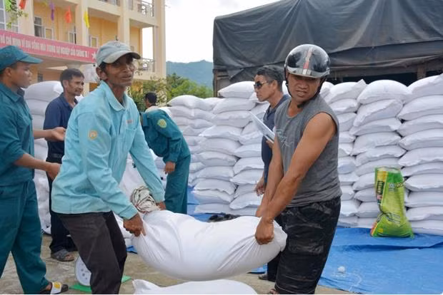 Près de 15.500 tonnes de riz allouées à 17 provinces ảnh 1