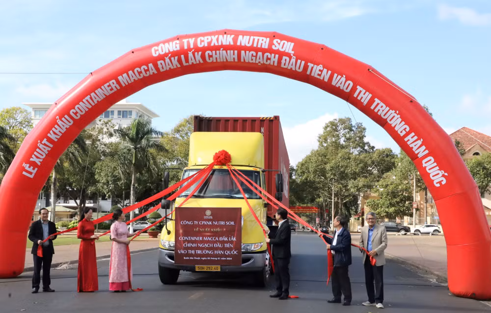 Dak Lak exporte son premier lot de noix de macadamia vers la République de Corée ảnh 1