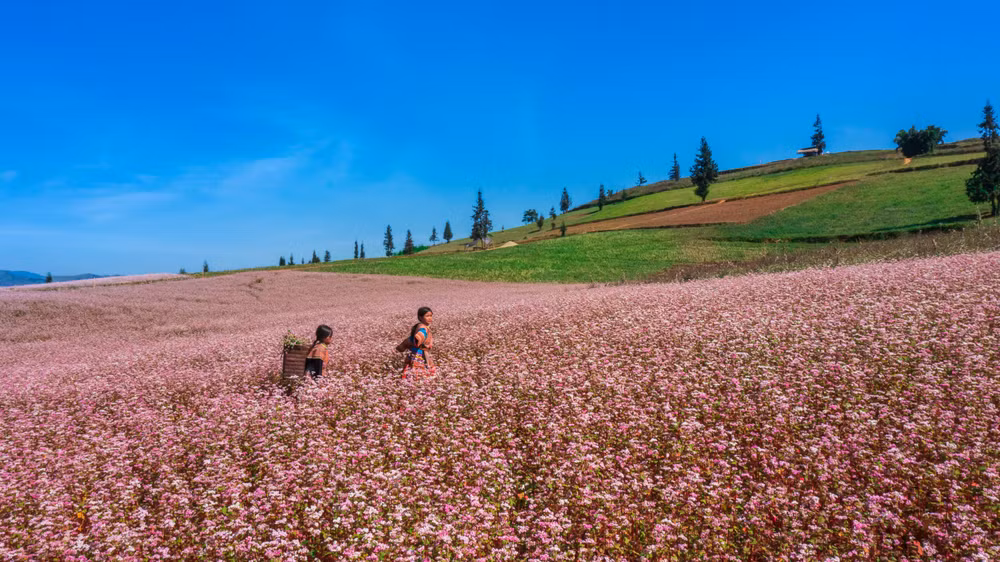 Hà Giang optimise ses ressources culturelles pour le développement du tourisme ảnh 1