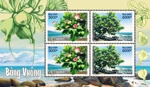Emission d’un ensemble de timbres sur un arbre emblématique de Truong Sa ảnh 1