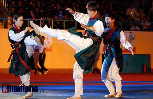 Clôture du Festival international des arts martiaux de Ho Chi Minh-Ville 2016 ảnh 3