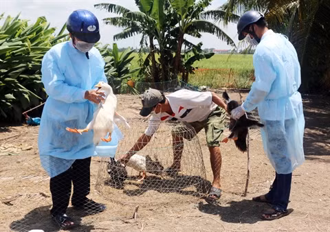 Renforcer la lutte contre les zoonoses ảnh 2