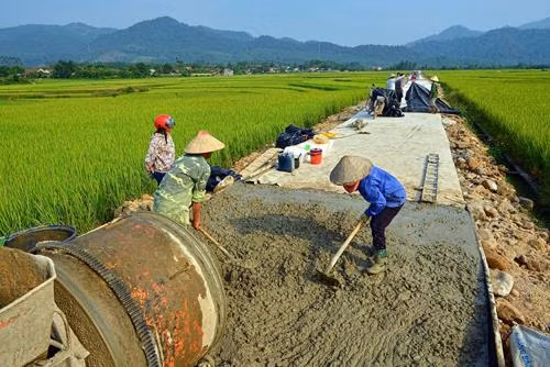 Insertion de la question de l'égalité des sexes dans les projets de transport rural ảnh 1
