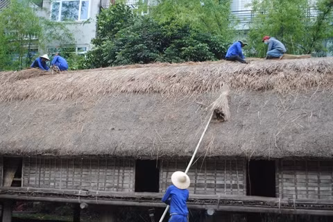 Rénovation des nhà rông et nhà dài du Musée d’ethnographie du Vietnam ảnh 3
