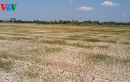 Le Vietnam s’adapte aux changements climatiques ảnh 2