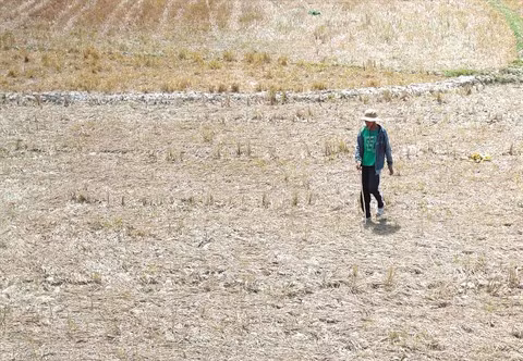 Environnement : un cri d’alarme venu du ciel ảnh 2