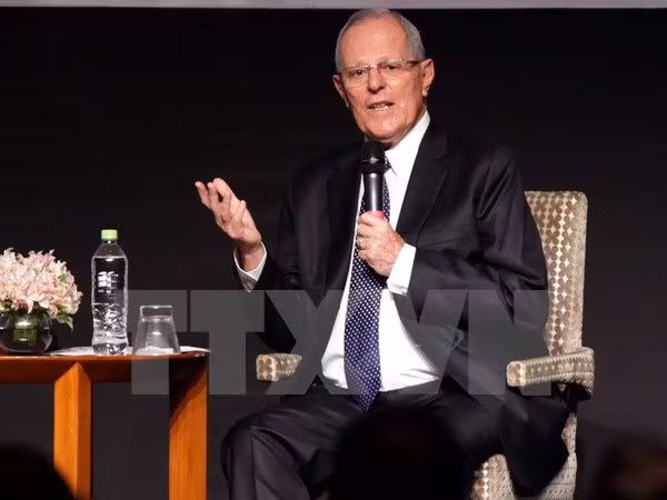 Ouverture du 24e Sommet de l'APEC à Lima, au Pérou ảnh 1