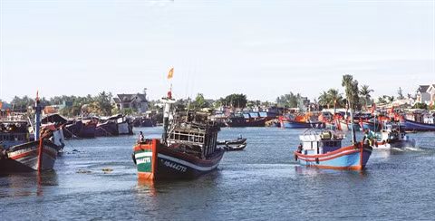 Au Centre, les LED montent à bord des bateaux de pêche ảnh 2