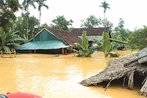 Climat: le Vietnam parmi les cinq pays les plus vulnérables ảnh 2