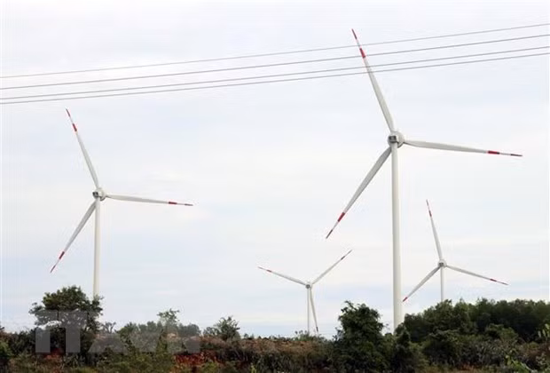 Des entreprises vietnamiennes et allemandes coopèrent dans le développement de l’énergie éolienne ảnh 1 Des entreprises vietnamiennes et allemandes coopèrent dans le développement de l’énergie éolienne ảnh 1