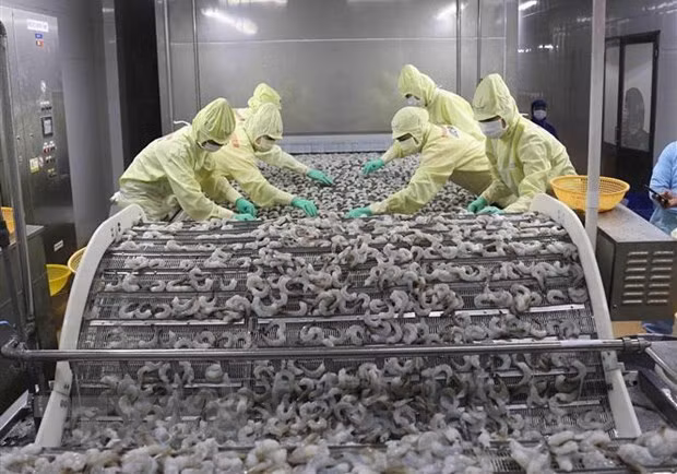 Vers de nouvelles opportunités de coopération pour les entreprises Vietnam-Brésil ảnh 1 Vers de nouvelles opportunités de coopération pour les entreprises Vietnam-Brésil ảnh 1