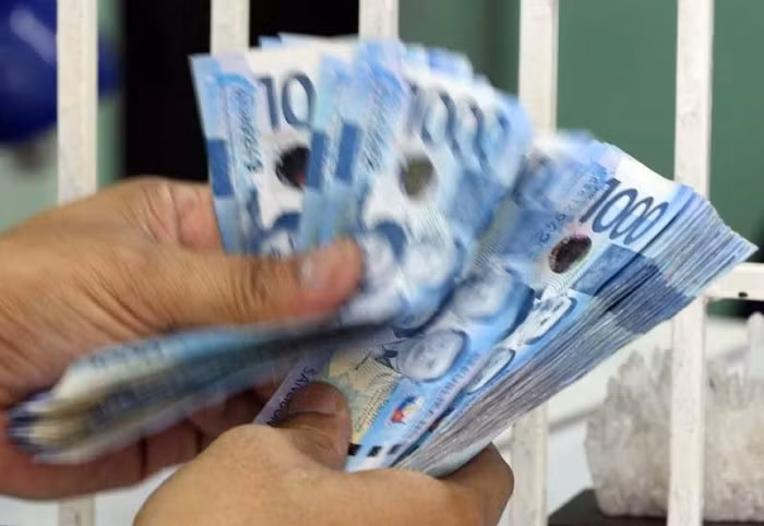 Un record de devises étrangères envoyées aux Philippines en 2018 ảnh 1
