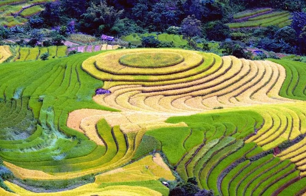 Le Vietnam, destination impressionnante au Salon international du tourisme voyages à Montréal ảnh 1