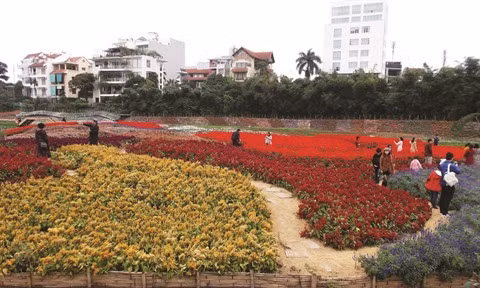 Prolonger la vie des fleurs ảnh 3