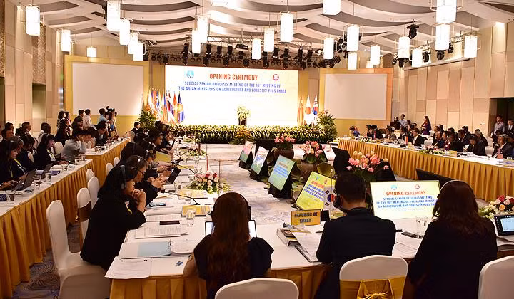L’ASEAN+3 dynamise la coopération dans le secteur agro-sylvicole ảnh 1