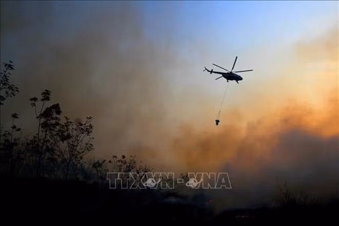 L'Indonésie mobilise des milliers de personnes pour lutter contre les feux de forêt ảnh 1