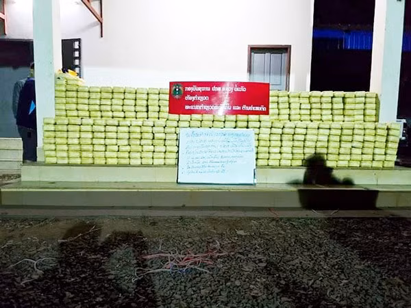 La police lao saisit une énorme quantité de drogue à Bokeo ảnh 1 La police lao saisit une énorme quantité de drogue à Bokeo ảnh 1