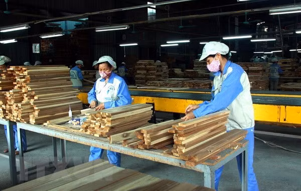 2018, une année réussie pour l'industrie du bois ảnh 1