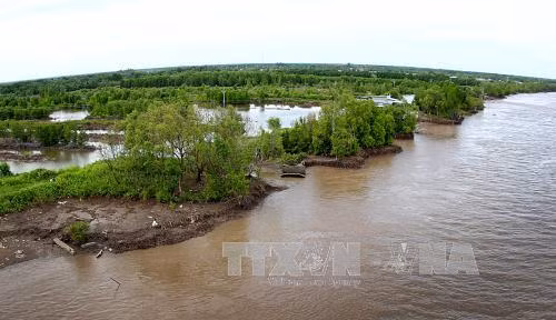 Insérer des contenus du changement climatique aux stratégies, plans nationaux et provinciaux ảnh 1