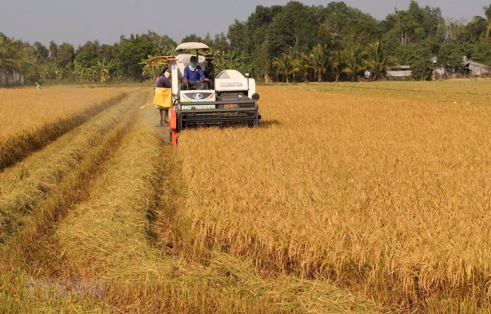 Le secteur agricole en pénurie d’environ 3,2 millions de travailleurs qualifiés en 2020 ảnh 1 Le secteur agricole en pénurie d’environ 3,2 millions de travailleurs qualifiés en 2020 ảnh 1