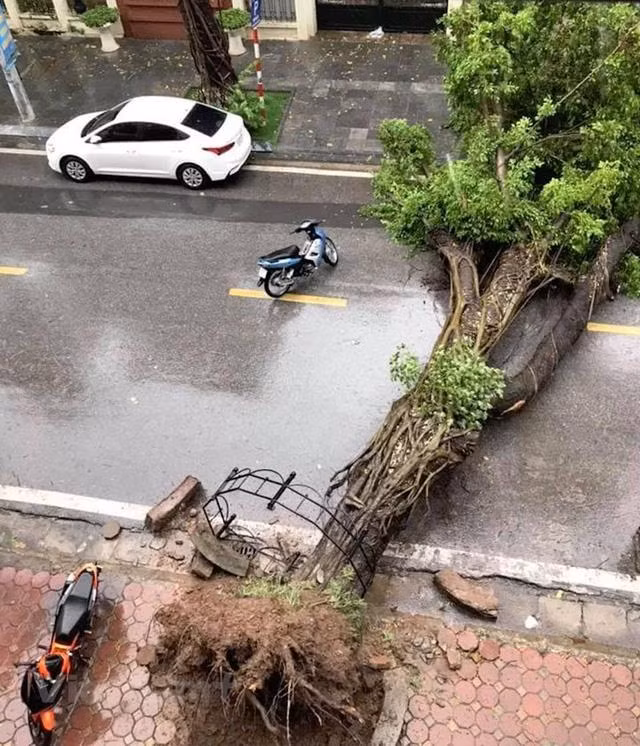Tempête Wipha : un mort et 15 disparus ảnh 1