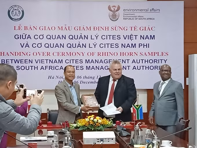 Vietnam : livraison des cornes de rhinocéros saisis à l’aéroport Noi Bai pour l’Afrique du Sud ảnh 1