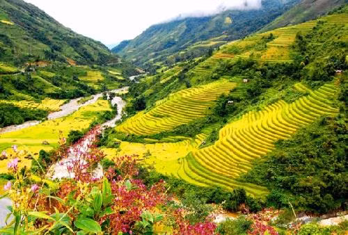 Sapa accueille plus de 77.000 visiteurs durant le Tet ảnh 1