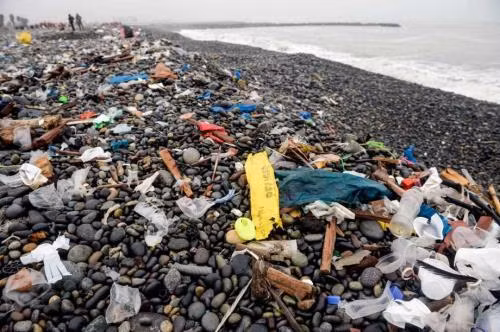 L'Alliance pour mettre fin aux déchets plastiques se concentre sur l'Asie du Sud-Est ảnh 1