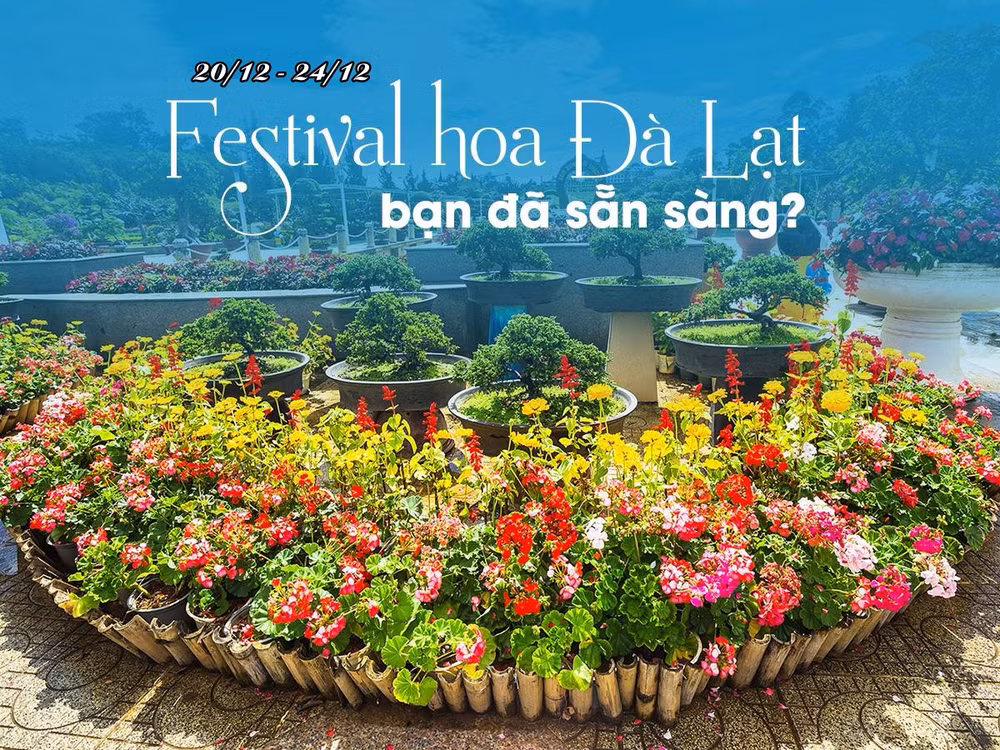 Le Festival des fleurs de Da Lat 2019 aura lieu du 20 au 24 décembre ảnh 1 Le Festival des fleurs de Da Lat 2019 aura lieu du 20 au 24 décembre ảnh 1