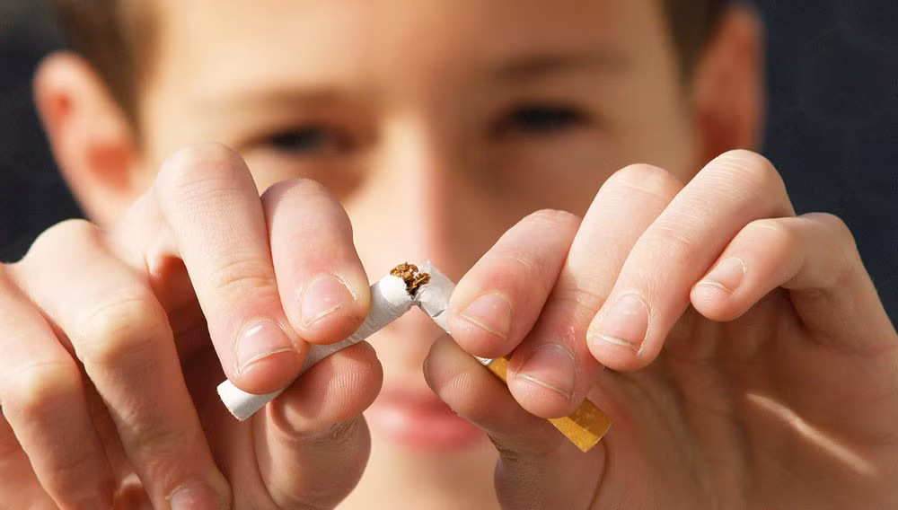 La SEATCA salue l'interdiction de la publicité des cigarettes en ligne de l'Indonésie ảnh 1