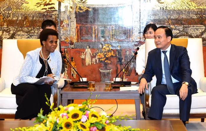 Vietnam et Afrique du Sud intensifient la coopération décentralisée ảnh 1