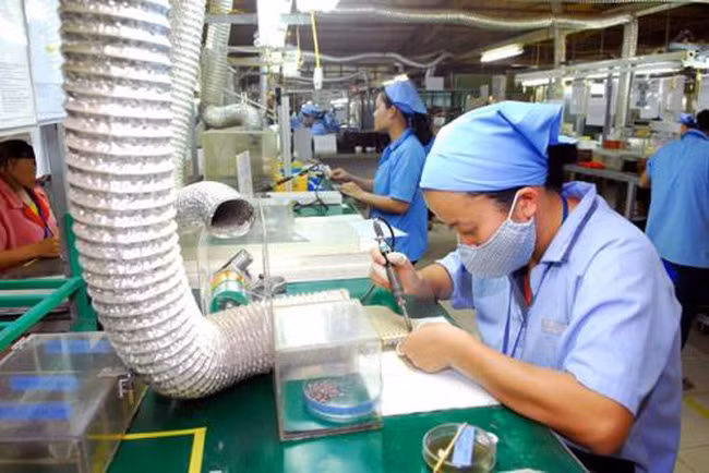 Le nombre d'entreprises japonaises souhaitant investir au Vietnam va croissant ảnh 1