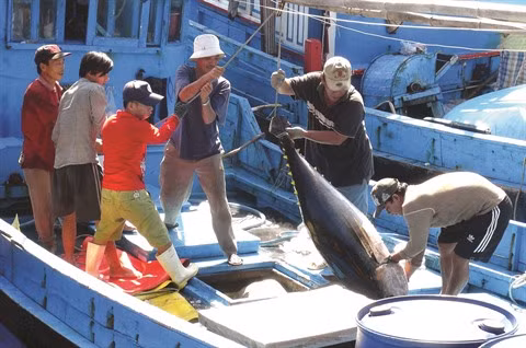  Le Vietnam est déterminé à développer la pêche durable ảnh 2