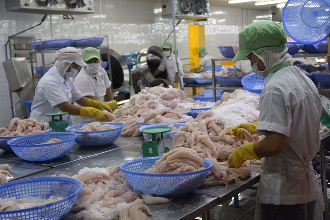 Poisson tra : la décision du DOC est injuste ảnh 1