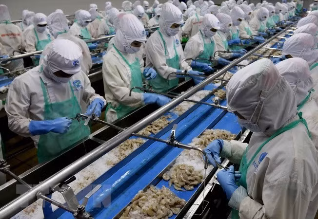 Le Vietnam promeut ses exportations de produits marins vers l’Europe ảnh 1