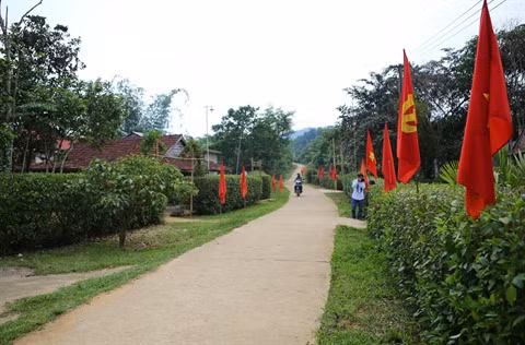 Nouvelle ruralité: Une région suburbaine de Hanoi en pleine mutation ảnh 3