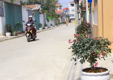 Nouvelle ruralité: Une région suburbaine de Hanoi en pleine mutation ảnh 1