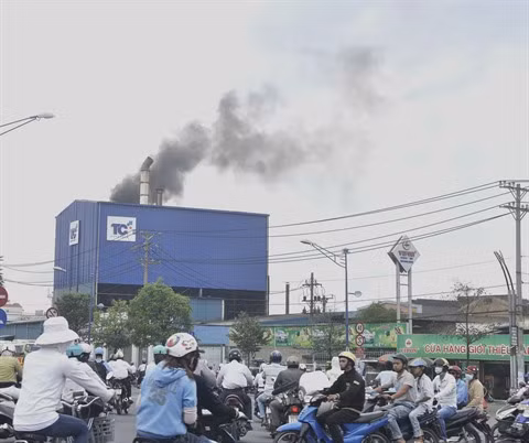 Un débat sur la pollution de l’air et la santé publique à Hanoi ảnh 1