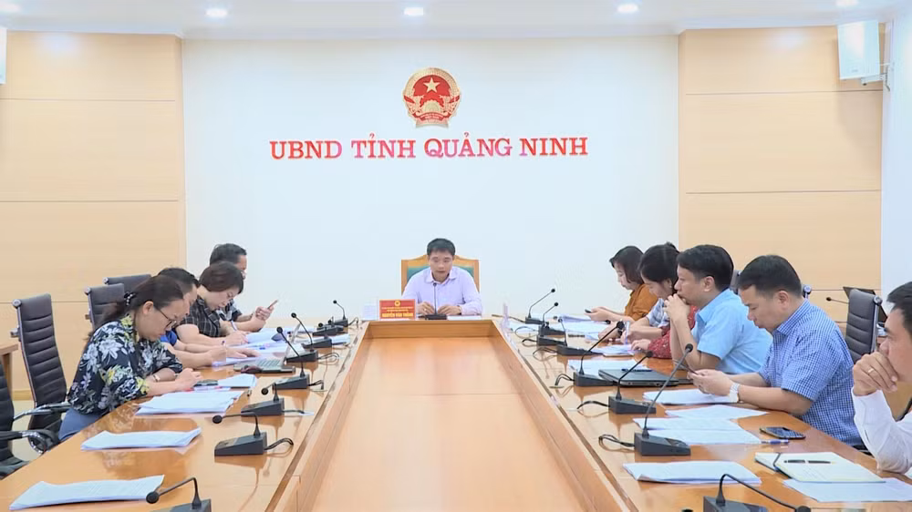 Quang Ninh rejoint la Clipper Round the World Yatch Race 2019-2020 ảnh 1