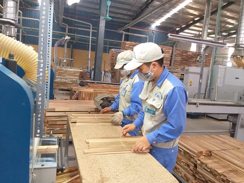 Les exportations nationales de produits sylvicoles ciblent 11 milliards de dollars ảnh 1
