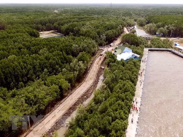 Climat : mise en oeuvre de plusieurs projets dans le delta du Mékong ảnh 1